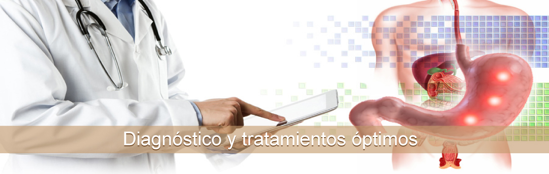 banner3